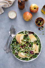 Fall salad with kale, cabbage and apples, topped with pumpkin seeds and dried cranberry