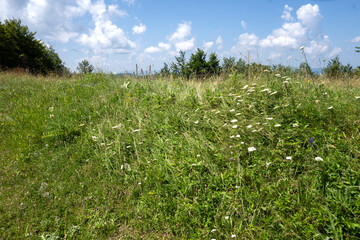 Landscape of Erul mountain near Kamenititsa peak, Bulgaria