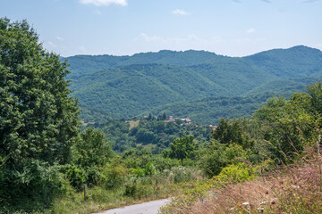 Fototapeta na wymiar Landscape of Erul mountain near Kamenititsa peak, Bulgaria
