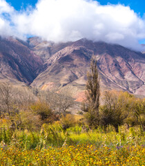Obraz premium COLORED MOUNTAINS WITH CLOUDS IN PURMAMARCA. HUMAHUACA STREAM, JUJUY. ARGENTINA.
