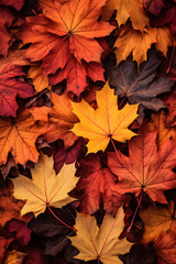 Naklejka na ściany i meble Fall leaves background with orange colorful leaves filling ebtire frame, generative AI