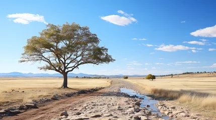 Selbstklebende Fototapeten Beautiful shot of a tree in the savanna plains with the blue sky © Chiranjit