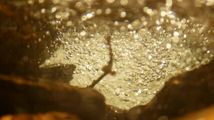 Bubbles underwater water waterfalls stream mountain forest river way through stones fairytale summer landscape Jeseniky, beauty of virgin nature untouched primeval forest, crystal clear