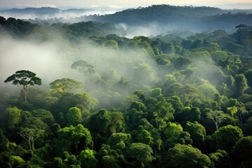 Canopy Chronicles: Aerial Perspectives Showcasing Rainforests' Majestic Beauty, Highlighting the Towering Presence of Kapok and Ceiba Trees Generative AI