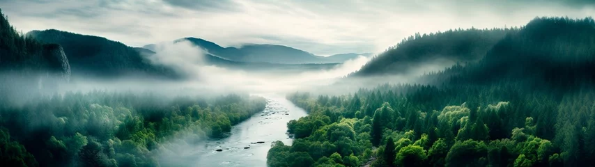 Foto op Canvas Panoramic epic view of wild forest with a river on a foggy morning © Pajaros Volando