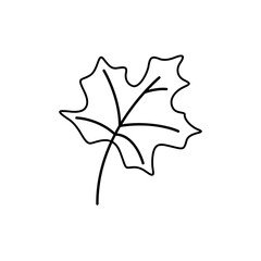 maple leaf illustration