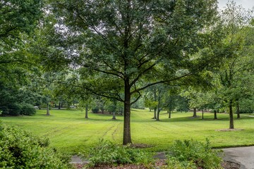 olmsted linear park, atlanta
