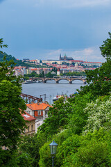 Obraz premium view of the city of kotor country