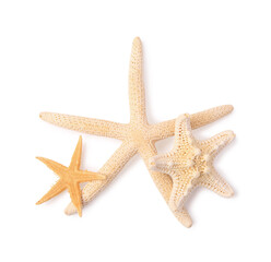 Fototapeta na wymiar Many beautiful sea stars (starfishes) isolated on white, top view