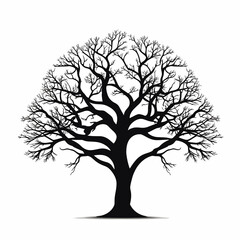 Obraz premium Tree silhouette isolated on white background