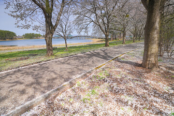 Obraz premium 鶴の舞橋