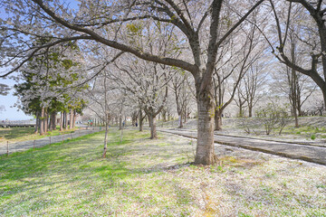 Obraz premium 鶴の舞橋