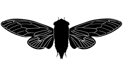 insect silhouette © Condro