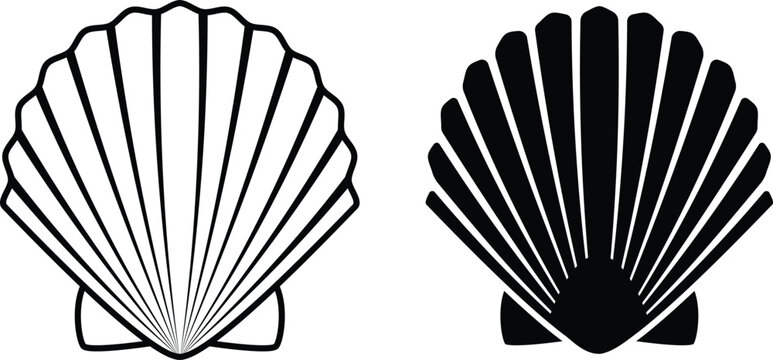 Scallop Shell Images – Browse 4,064 Stock Photos, Vectors, and Video