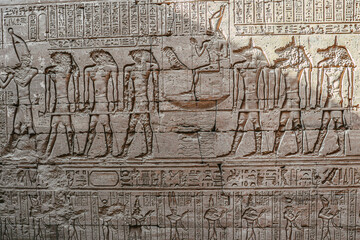 ancient egyptian hieroglyphics - Powered by Adobe