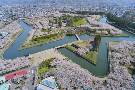 五稜郭公園」の写真素材 | 1,420件の無料イラスト画像 | Adobe Stock