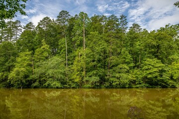 cherokee lake