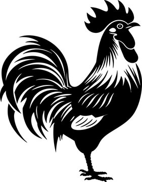 Handdrawn rooster drawing silhouette