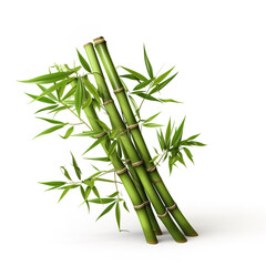 Image of green bamboo tree on white background. Nature. Illustration, Generative AI.