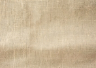 Fototapeta na wymiar Textured Papyrus: Woven Fiber Paper Background