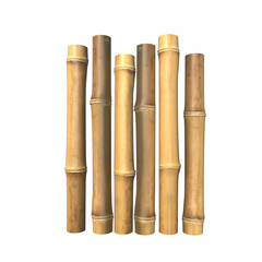 bamboo stem