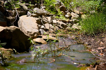 close up stream