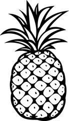 Pineapple Handdrawn Illustration