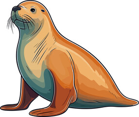 Sea lion illustration