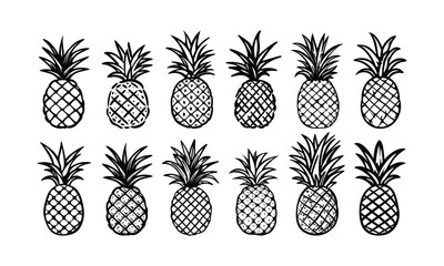 Pineapple Handdrawn Illustration, Vector tropical fruits Collection Set