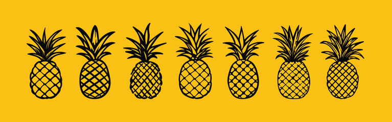 Pineapple Handdrawn Illustration, Vector tropical fruits Collection Set