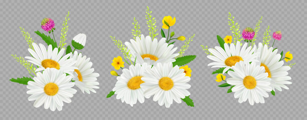 Chamomile flowers. White daisy. Vintage bouquet with wild herb leaves. Botanical floral frame. Spring tea. Buttercup and clover. Realistic blooms. Vector isolated blossoms bunches set