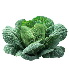 Obraz premium Brussels sprouts Cabbage Green salad