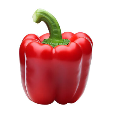 Organic Red Capsicum pepper
