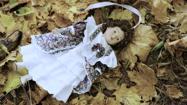 Doll toy lies on a ground between yellow autumn leaves in autumn park. Horizontal video