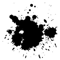 Splash paint vector