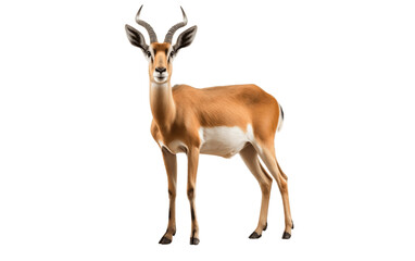 Antelope Isolated Background. Generative AI