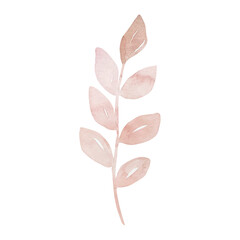 Watercolor delicate pink branch with leaves