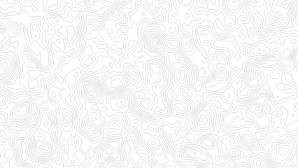 Abstract Topographic Contour Line Pattern in Black and White