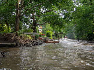 Fototapeta na wymiar the river in the jungle near the Bangkok Thailand 