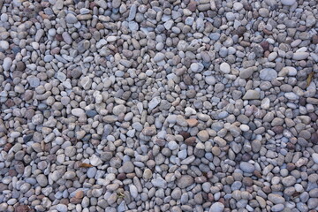 Abstract  different shapes pebbles sea texture background