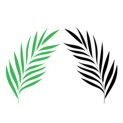 palm branch on white background. Leaves icon vector set isolated on white background.