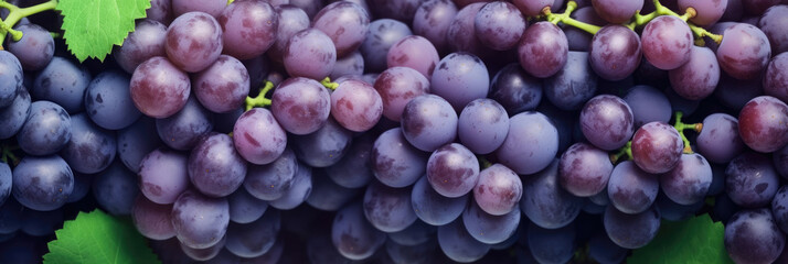 Grape, Hd Background, Background For Computers Wallpaper - obrazy, fototapety, plakaty