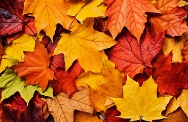 Naklejka na ściany i meble Background of autumn leaves. Autumn background. Generative AI