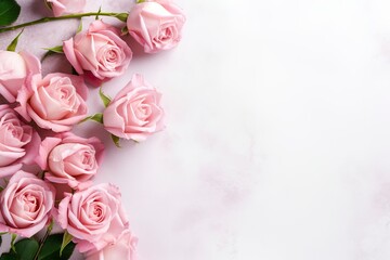 Close up of blooming pink roses flowers and petals isolated on white table background. Floral frame composition. Decorative web banner. Empty space, flat lay, top view. 