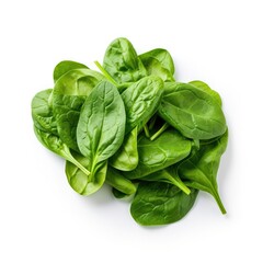 Spinach on plain white background - product photography