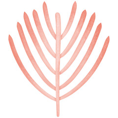 pink flower isolated on transparent background 