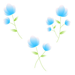 bouquet of flowers