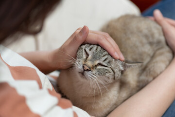 猫と過ごす時間