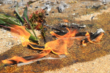 Smoke from incense sticks in pots.From worshiping the sacred things around the temple.