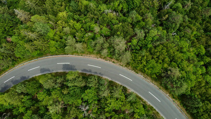 Aerial view captured by a drone showcasing the Alpine forest and a road